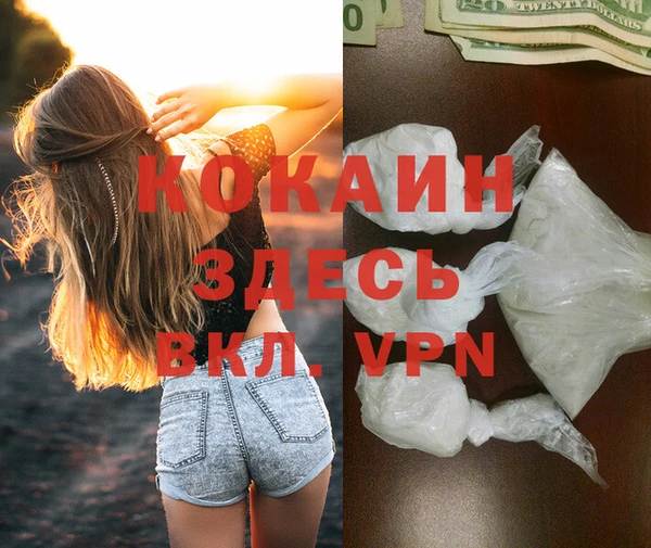 ПСИЛОЦИБИНОВЫЕ ГРИБЫ Бронницы