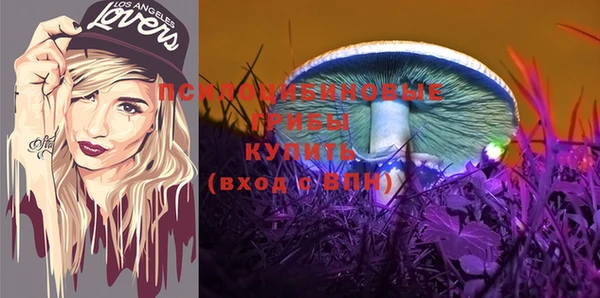 эйфоретик Сатка
