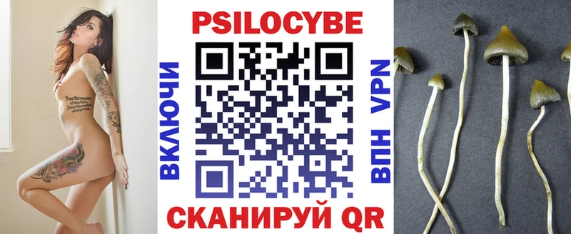 сколько стоит  Медногорск  ссылка на мегу ссылка  Псилоцибиновые грибы прущие грибы 